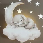 Veilleuse Murale Lapin Endormi Lune & Nuage | LED Chambre Bébé | Cozy Collections